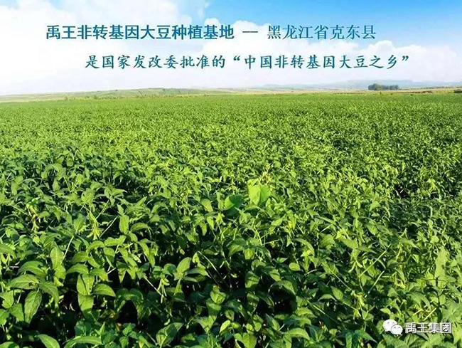 微信圖片_20200514160850.jpg